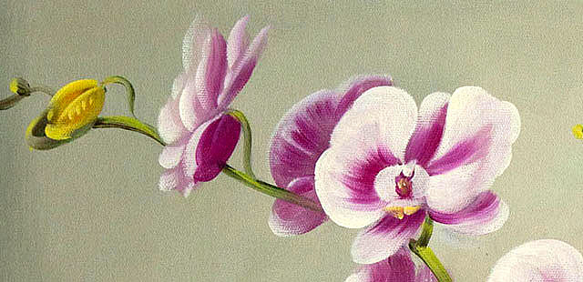 0B 《高贵兰花》 当代油画家 王露露 花卉写实油画